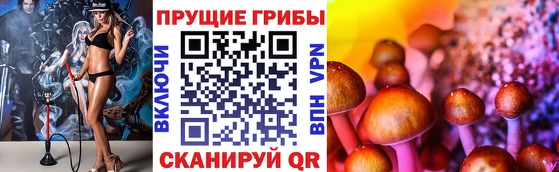 Псилоцибиновые грибы прущие грибы Кемерово